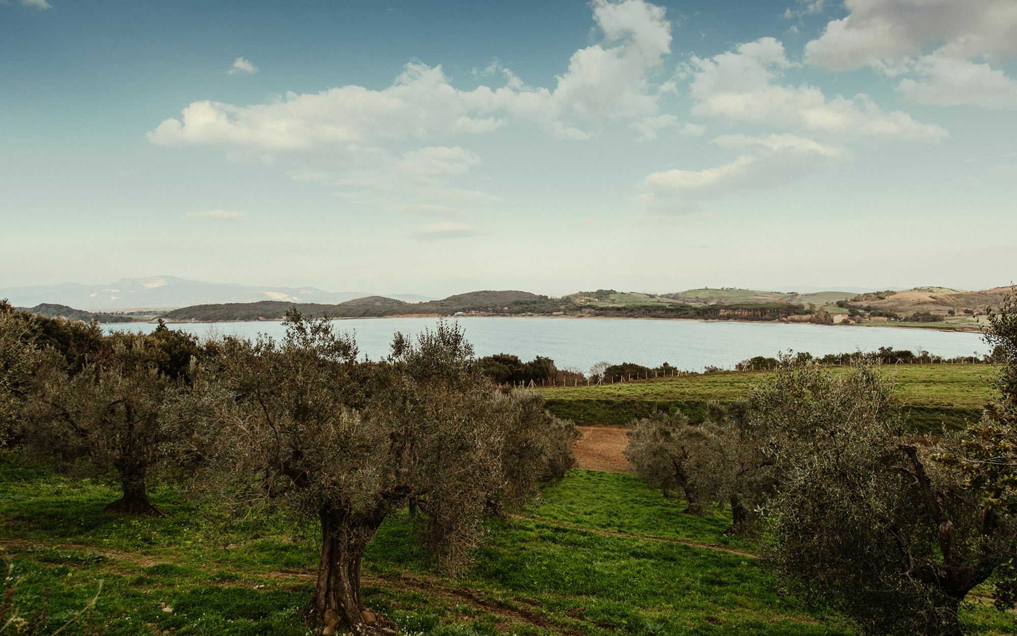 Torre Di Baratti Bio Resort Populonia Εξωτερικό φωτογραφία